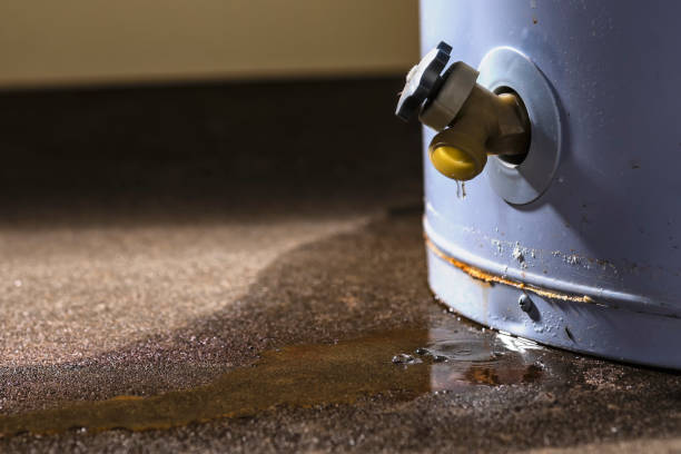 Best Residential water damage restoration  in Estelle, LA
