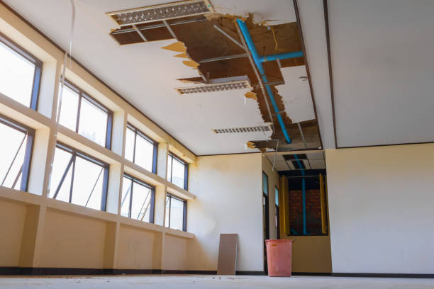 Best Basement water damage restoration  in Estelle, LA