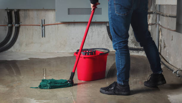 Best Water damage contractors near me  in Estelle, LA