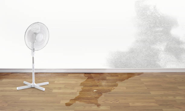  Estelle, LA Water damage restoration Pros
