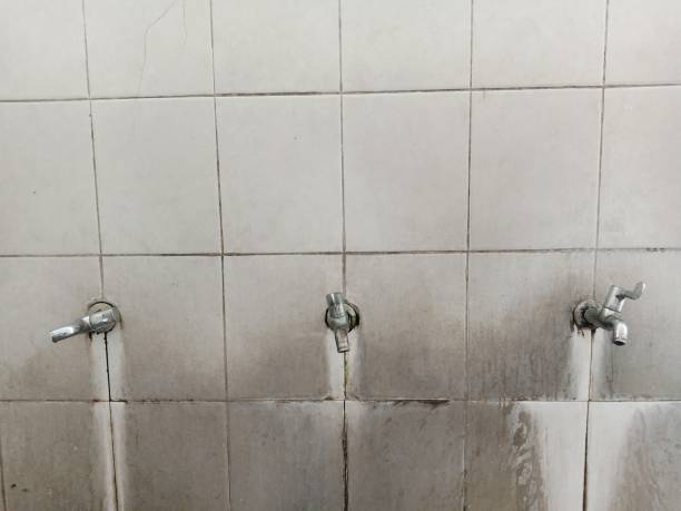 Reliable Estelle, LA Water damage restoration Solutions