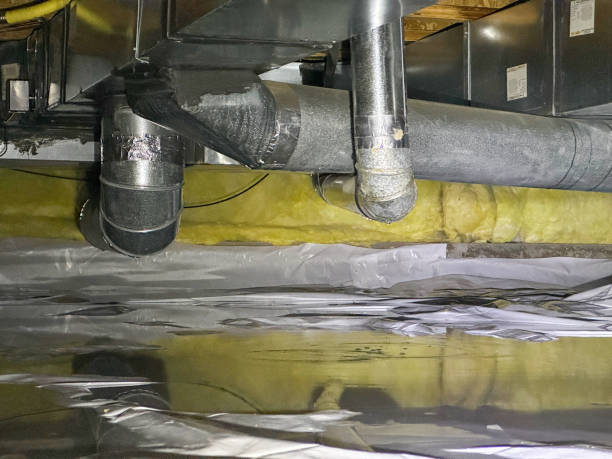 Best Flood restoration services  in Estelle, LA