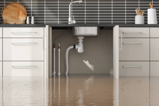 Best Sewage cleanup and water damage restoration  in Estelle, LA