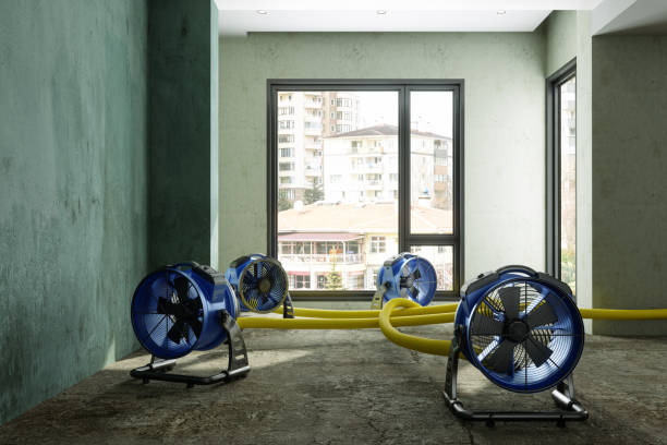 Best Fire Damage Restoration  in Estelle, LA